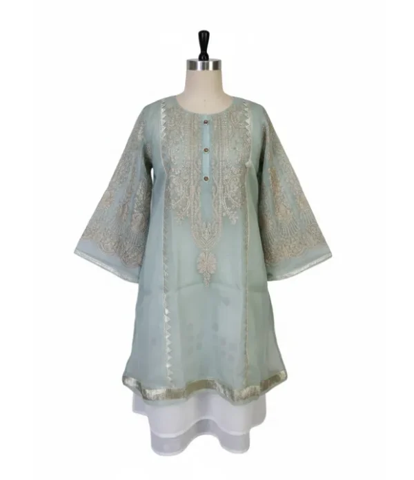 D02 Organza Fabric